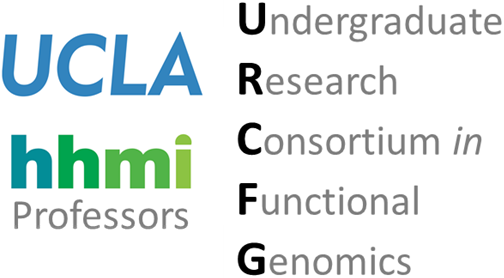 UCLA HHMI Undergraduate Research Consortium in Functional Genomics